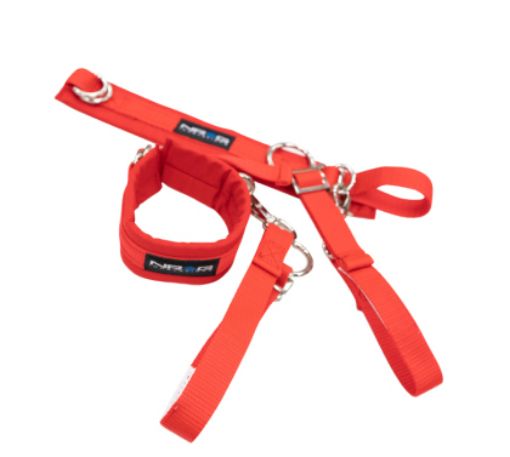 Kuva: NRG SFI 3.3 Arm Restraints One Pair - Red