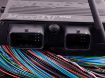 Kuva: MaxxECU RACE STANDARD (ECU, harness 1 and accessories)