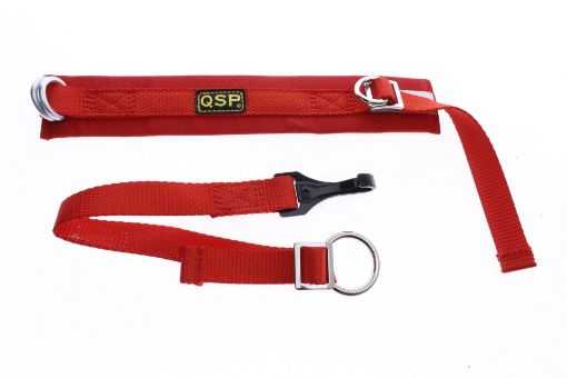 Kuva: QSP Arm strop - Arm restraints SFI 3.3 Approval - RED
