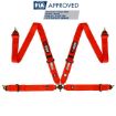 Kuva: RRS FIA EVO 4 2,5 Kg Punainen Turvavyö (4-Piste)