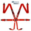 Kuva: RRS FIA R6 2,9 Kg Punainen Turvavyö (6-Piste)