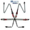 Kuva: RRS FIA 3" 2" R6 HANS® 2,8 Kg Harmaa Turvavyö