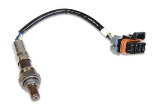 Kuva: Holley 554-100 - Holley EFI O2 Sensors