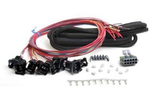 Kuva: Holley EFI Systems Wiring Harnesses 558-204