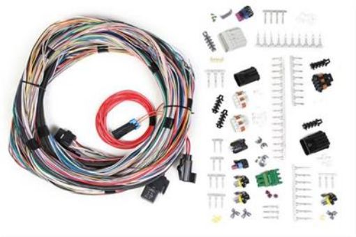 Kuva: Holley EFI Systems Wiring Harnesses 558-105