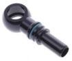Kuva: M12 Banjo to Quick Connect - Black - AN6