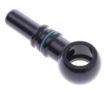 Kuva: M12 Banjo to Quick Connect - Black - AN6