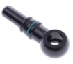 Kuva: M10 Banjo to Quick Connect - Black - AN6