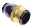 Kuva: Straight PTFE Quick Connect Hose Ends -Black/Gold - AN12