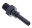 Kuva: AN4 - 1/8"-27 NPT - Black