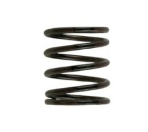 Kuva: Turbosmart Gen4 IWG/WG38/40/45/50L 3PSI INNER SPRING – BROWN/BLACK